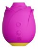 Pulsator ROMP by Womanizer âRoseâ